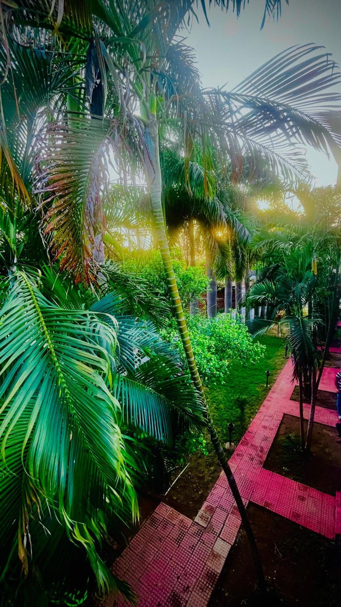Hotel Jungle Palace Resort Umaria  Ngoại thất bức ảnh