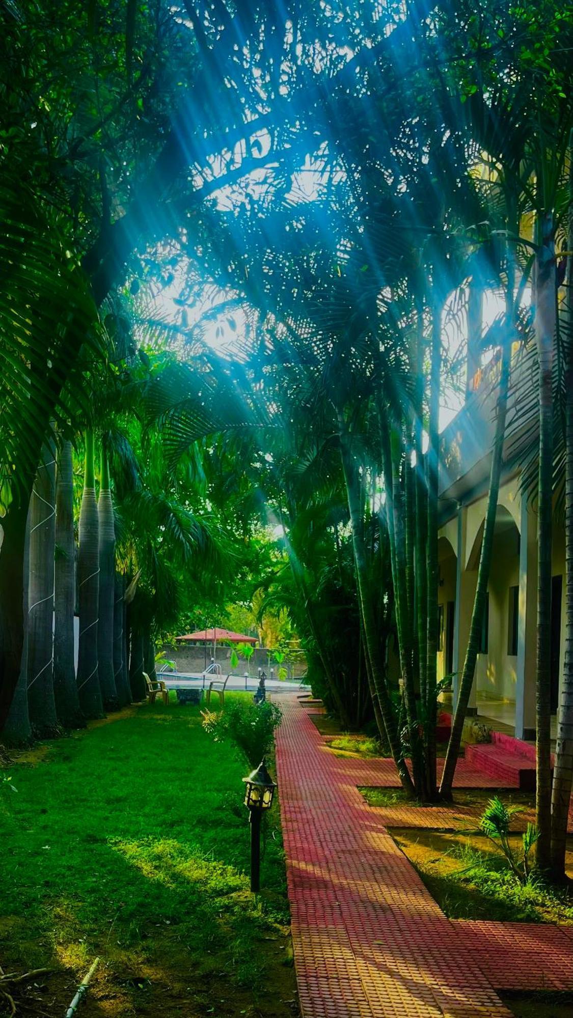 Hotel Jungle Palace Resort Umaria  Ngoại thất bức ảnh